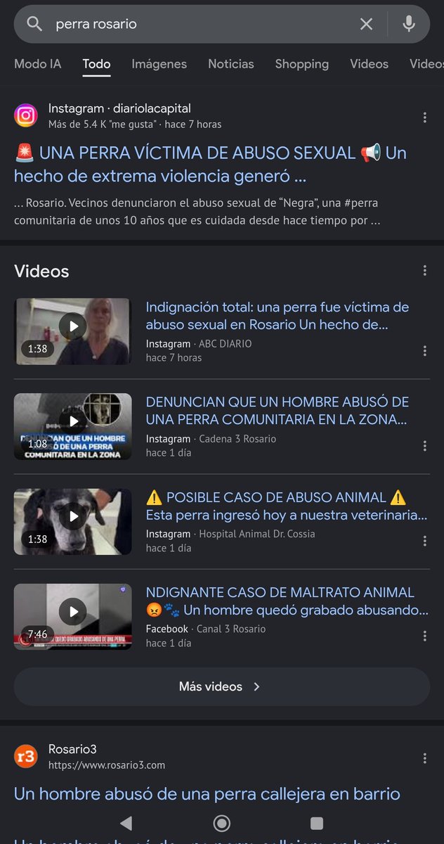 Diana ⚜️ 🦉 ⚜️🪞 tweet media
