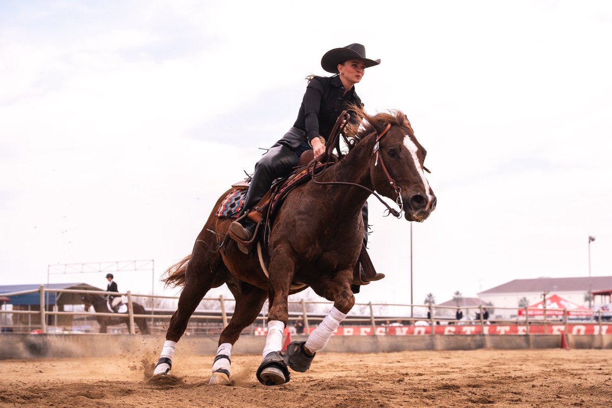 Fresno State Equestrian tweet media