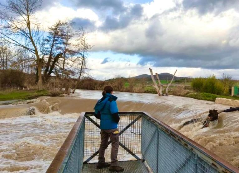 ⚠️
Emergencia hidrológica sin #AgentesMedioambientales del <a href="/mitecogob/">Transición Ecológica y Reto Demográfico</a>: un riesgo evitable.

Preocupante que el Ministerio incumpla normativa vigente no activando a sus Agentes de las demarcaciones hidrográficas del Guadiana, Guadalquivir, Segura y Júcar.

aeafma.es/gabinete-de-pr…