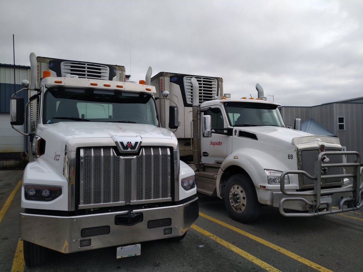 The Unemployed Man 🇨🇦 tweet media