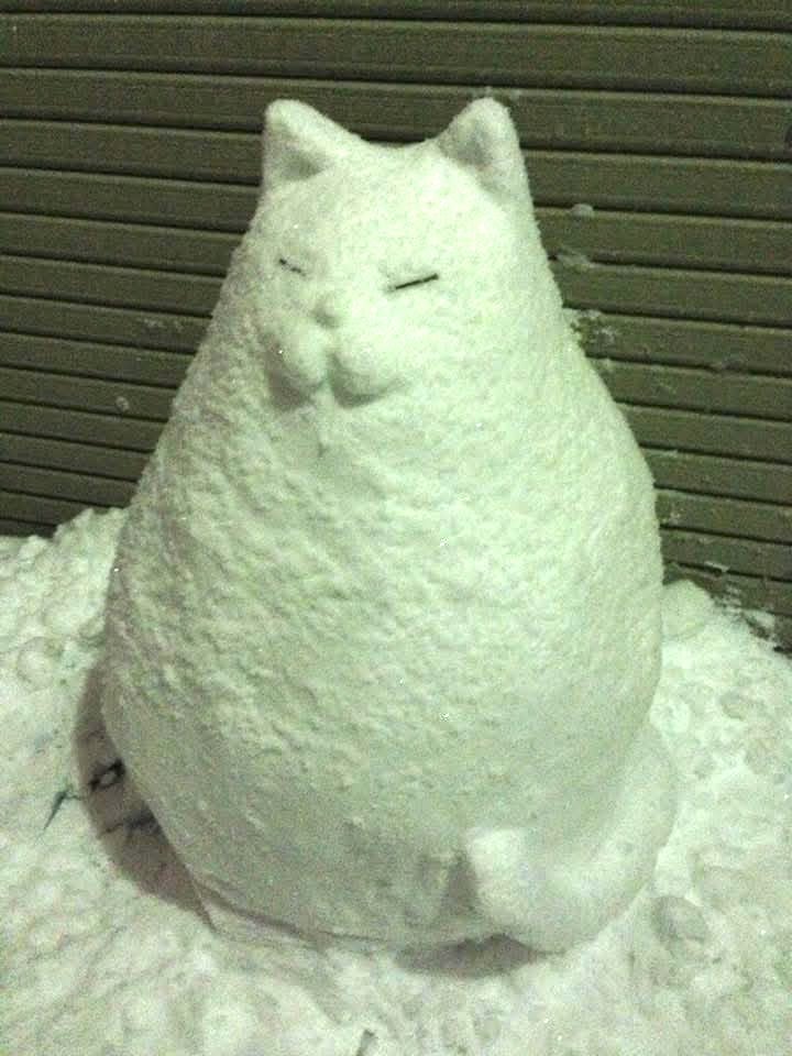 NezuLuckyCurry's tweet image. 藝大生が住んでる地域ではこんなのが現れます。