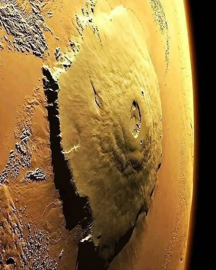 Black Hole tweet media