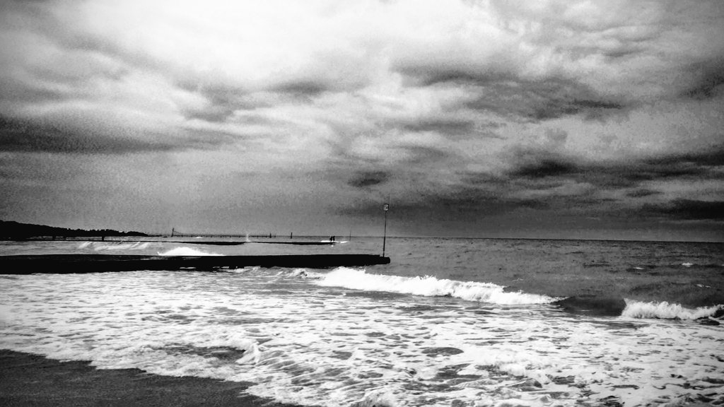 „Wir waren die, 
die verschwanden. 

Wir lebten 
als der Mensch, 
der sich in der Tür umdreht, 
noch etwas sagen will, 

aber nichts mehr zu sagen hat.“

Roger Willemsen,
Wer wir waren

Roger Willemsen starb 
am 7. Februar 2016