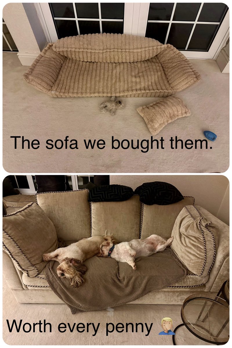 Gerraint™ Oakley tweet media