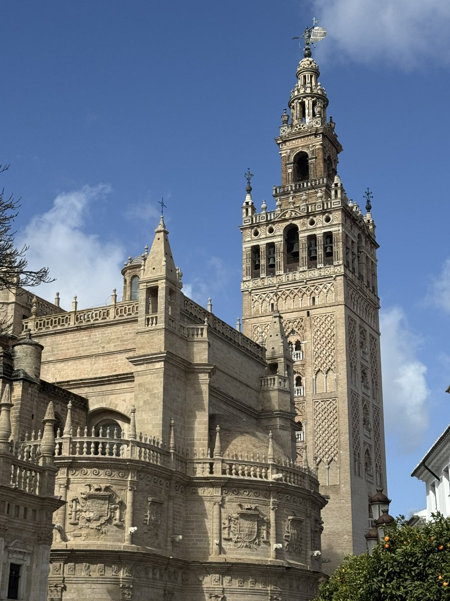 marcooos tweet media