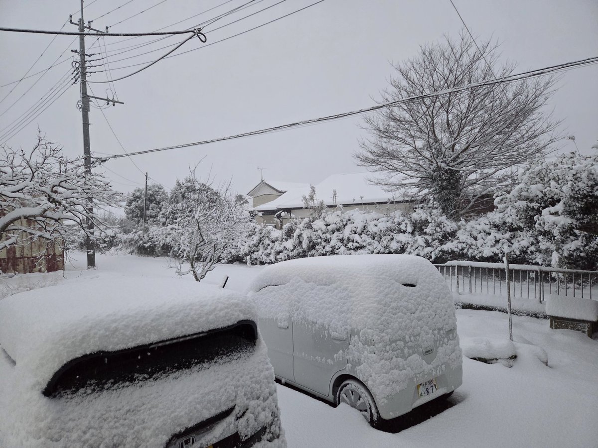 こんなに積もりました😭💦💦