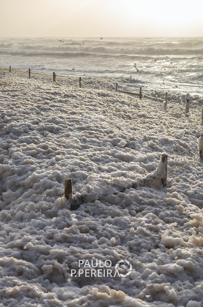 PauloSPP's tweet photo. Depois da Tempestade Leonardo a praia ficou coberta de espuma.
Fotos - 05/02/2026
Praia de Santa Rita, Maceira, Torres Vedras
#TempestadeLeonardo #Natureza #Photography #Fotografia #PraiaSantaRita #Maceira #TorresVedras #Portugal #PauloPPereira https://t.co/dTAANeZrq9
