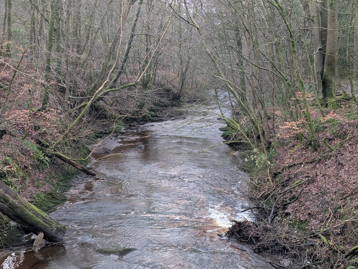 Paul Andrew Sneddon tweet media