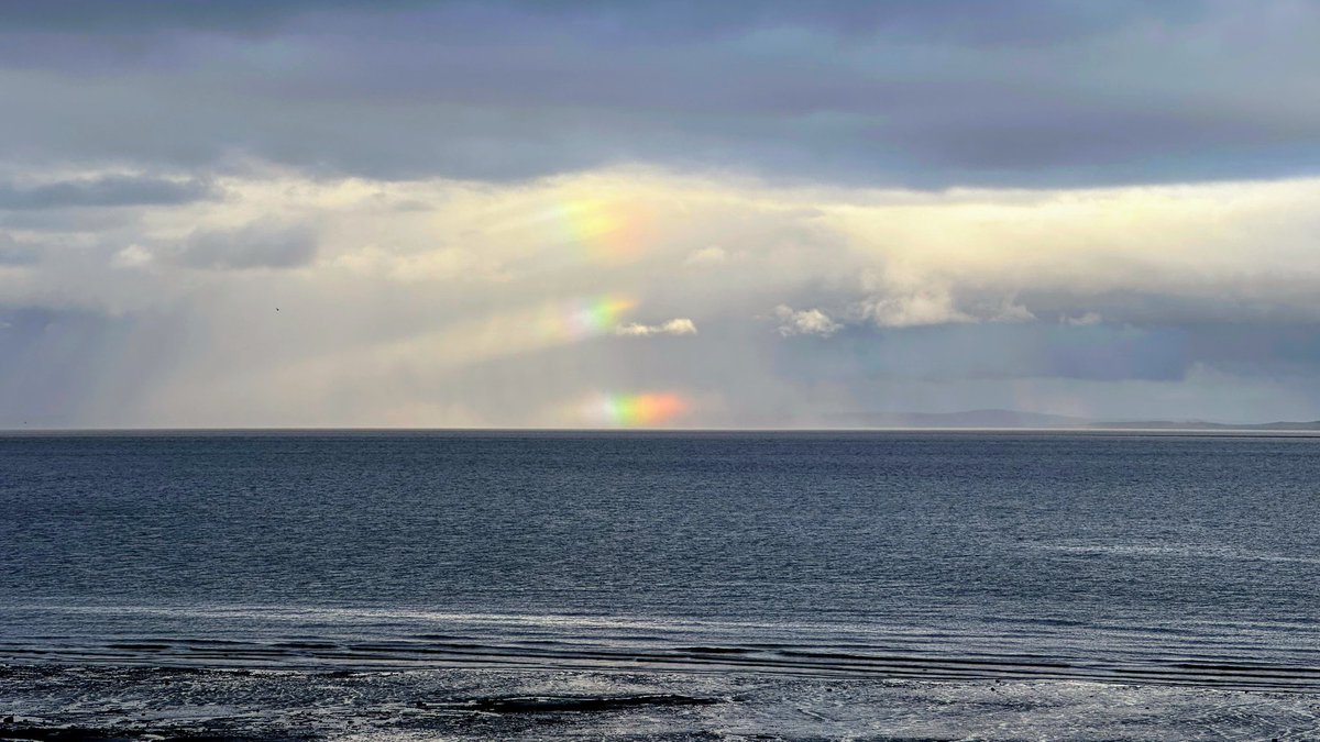 Whilst Wales embarrassed themselves with the Oval ball, this natural delight was happening