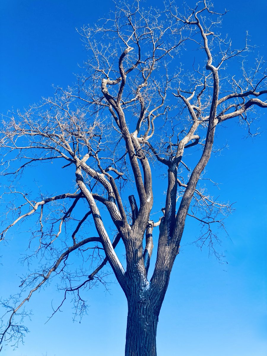 There is nothing to debate