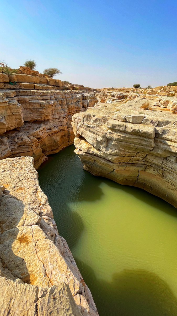 Altmsh_Azmi's tweet photo. Walking through the canyon and suddenly seeing water in such a dry place was one of those moments that makes you stop and just appreciate nature.

#nature https://t.co/evIQIjajJ8