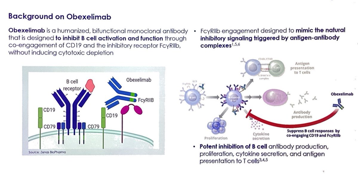 Barry Singer MD 🧠 tweet media