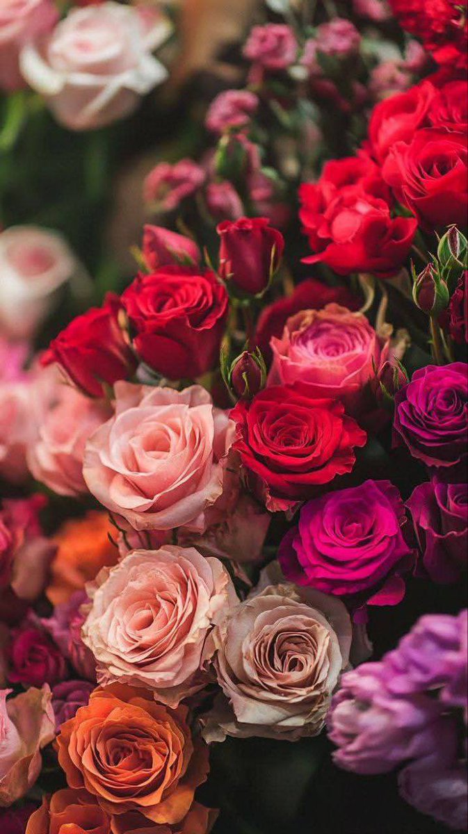 /دلوعة الـغيم tweet media