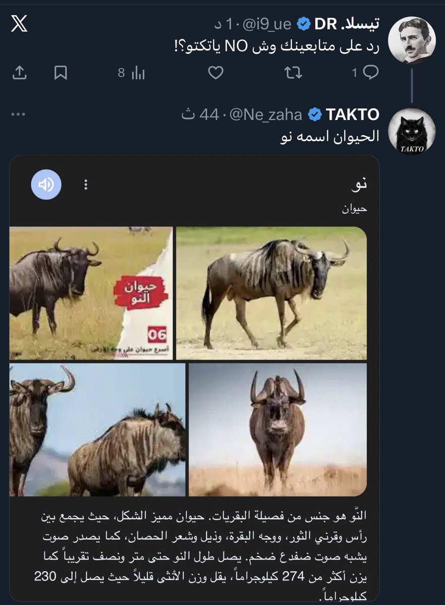 لنا الجنة بإذن الله