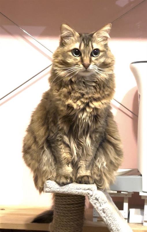 ヴィレッジヴァンガードオンラインストア (@vgvd) / Posts / X