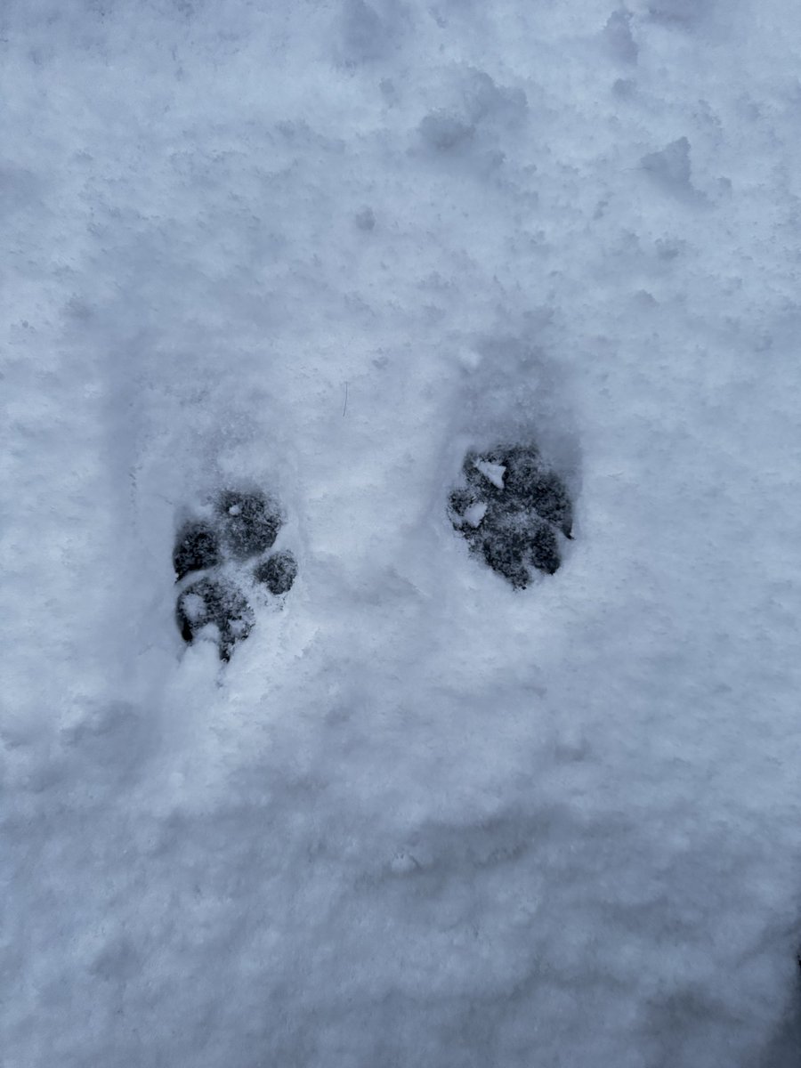 袖ケ浦ふれあいどうぶつ縁 tweet media