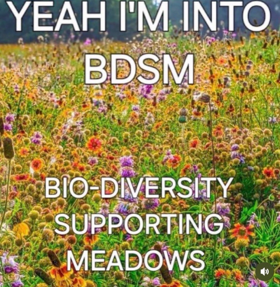 Respectful Memes (@respectfulmemes) on Twitter photo 