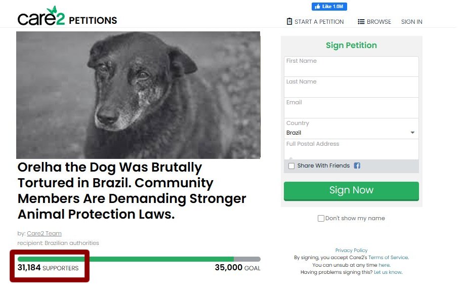 aimaasson's tweet image. 🚨ESTAMOS DANDO UM IMPORTANTE RECADO ÀS AUTORIDADES BRASILEIRAS. O CASO ORELHA JÁ POSSUI +5K DE APOIADORES NA FRANÇA 🇫🇷, 469 MIL ASSINATURAS NO BRASIL 🇧🇷 E 31 MIL NOS EUA 🇺🇸, CANADÁ 🇨🇦 E REINO UNIDO 🇬🇧. NÃO É SÓ SOBRE O ORELHA, É SOBRE CRUELDADE E IMPUNIDADE!
#CPIDOORELHA