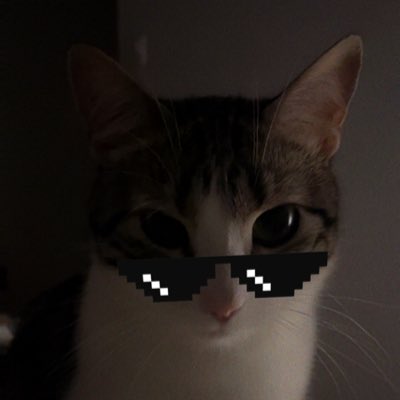 cchloedoucet's tweet photo. #NouvellePhotoDeProfil https://t.co/yavuoPszh4