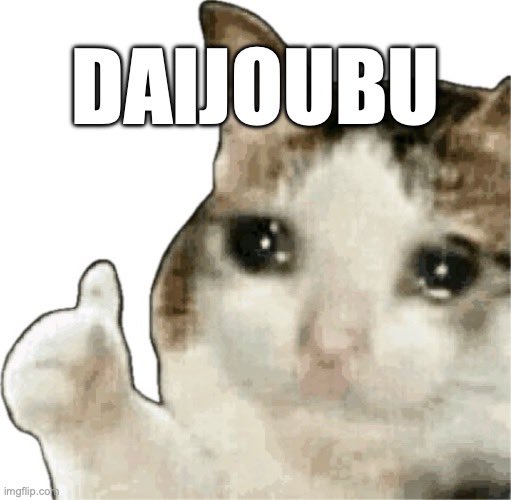 2年でフランスから日本まで往復5回、地球2周したのに振られもせず無視されちゃった...