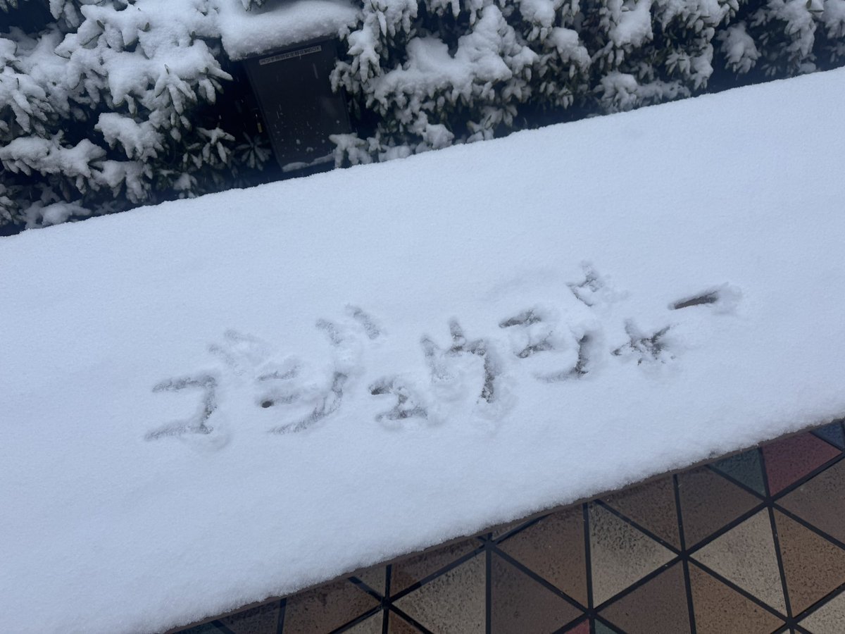 木村魁希 tweet media