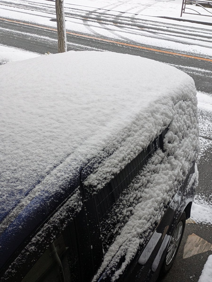 雪 おはようございます。積もったね❄。#雪
