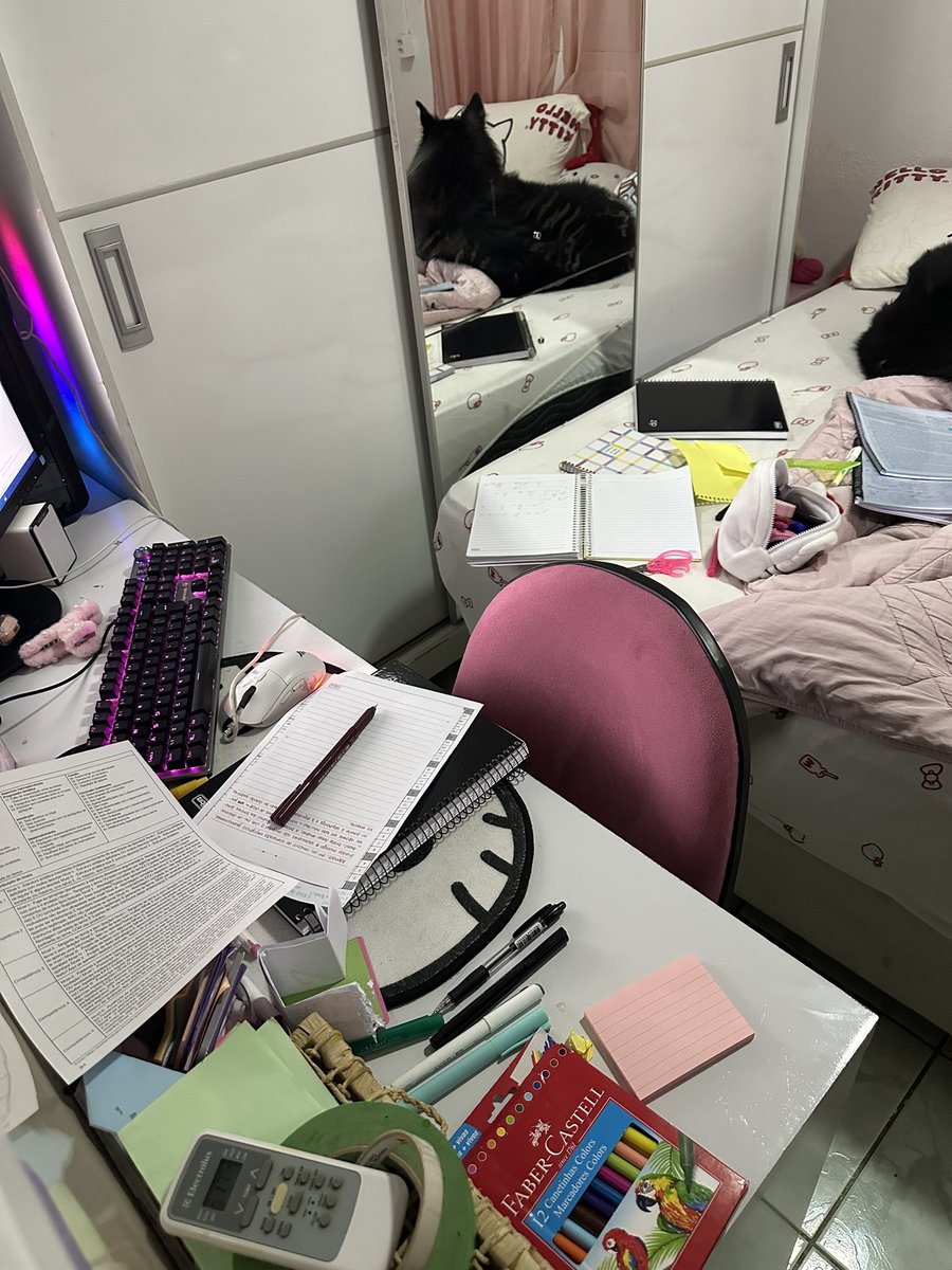 nananicastudy's tweet photo. o curioso caso do estudante que não sabe estudar sem bagunçar tudo https://t.co/693qUZixku