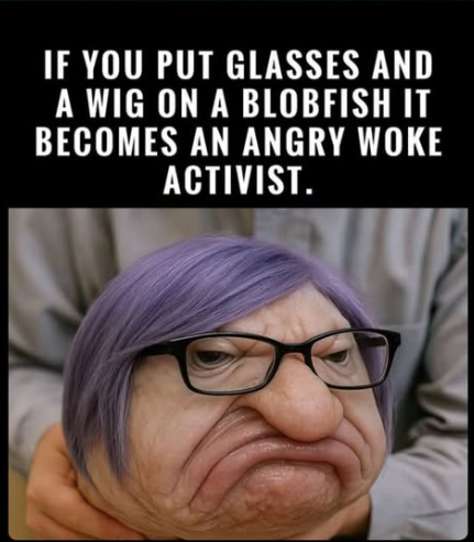 BrazenLady's tweet image. 🤣🤣🤣