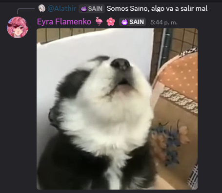 Cuando estamos prearando cosas/proyectos futuros y tu propio Alathir/CEO dice:
"Somos Sainō, algo va a salir mal"😭
....
No pude defendernos