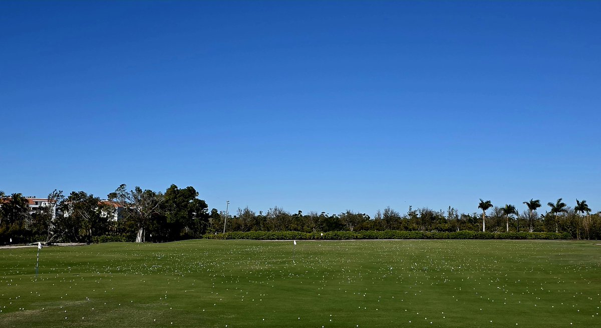 john reilly tweet media