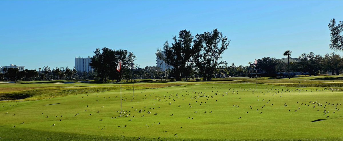 john reilly tweet media