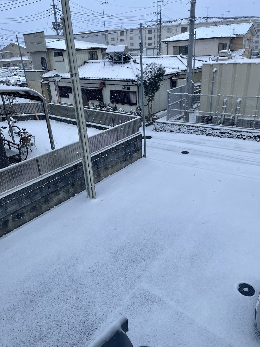ぶち( ´ ` )@復帰しました tweet media