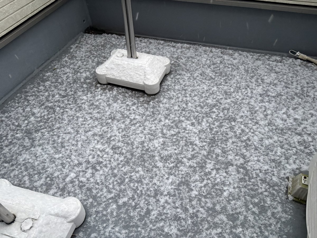 大阪でも雪降ってきた
昼までには積もりそう

子供はテンション上がって朝から公園に遊びに出かけた