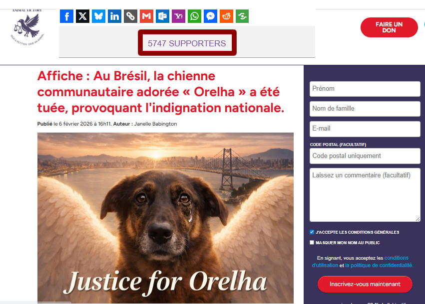 aimaasson's tweet image. 🚨ESTAMOS DANDO UM IMPORTANTE RECADO ÀS AUTORIDADES BRASILEIRAS. O CASO ORELHA JÁ POSSUI +5K DE APOIADORES NA FRANÇA 🇫🇷, 469 MIL ASSINATURAS NO BRASIL 🇧🇷 E 31 MIL NOS EUA 🇺🇸, CANADÁ 🇨🇦 E REINO UNIDO 🇬🇧. NÃO É SÓ SOBRE O ORELHA, É SOBRE CRUELDADE E IMPUNIDADE!
#CPIDOORELHA