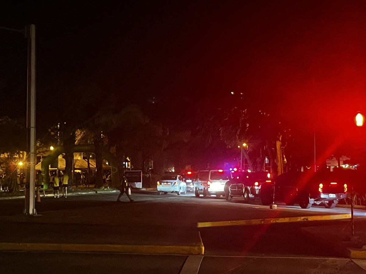 奥田健太郎 tweet media