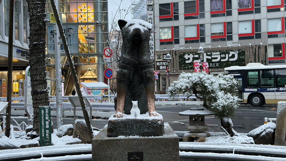Shibuya_news_03's tweet image. 今年はハチ公雪だるま作る人がいなかったので不器用ですが自分で作りました。#渋谷