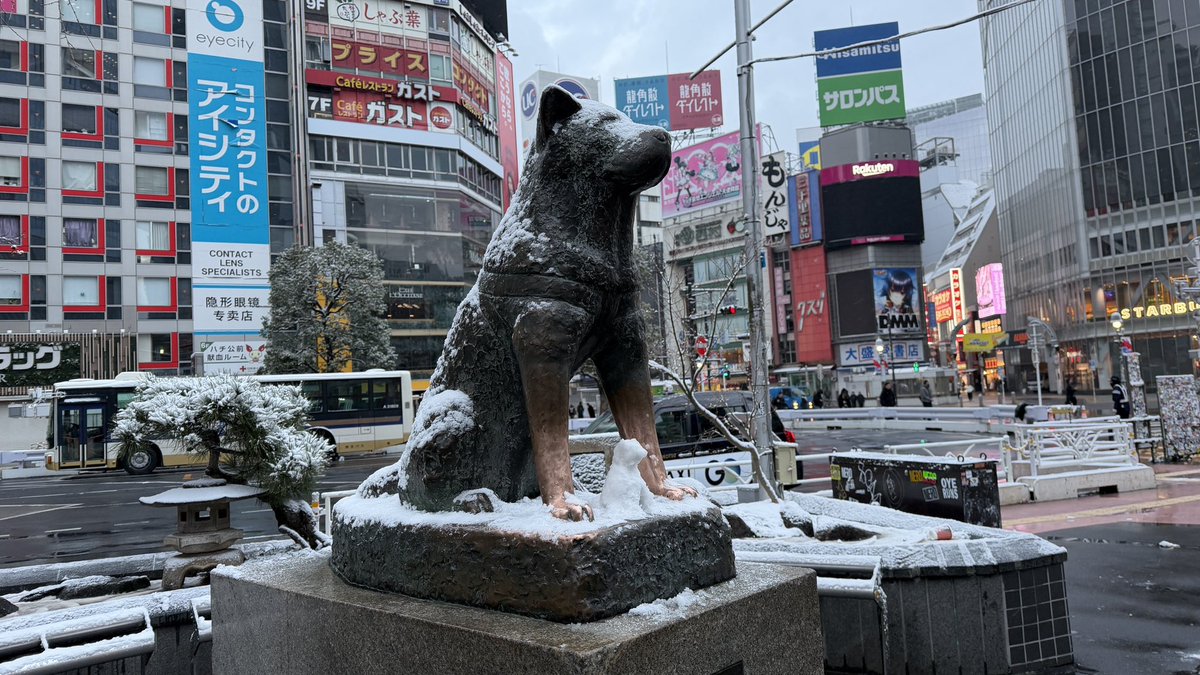 Shibuya_news_03's tweet image. 今年はハチ公雪だるま作る人がいなかったので不器用ですが自分で作りました。#渋谷