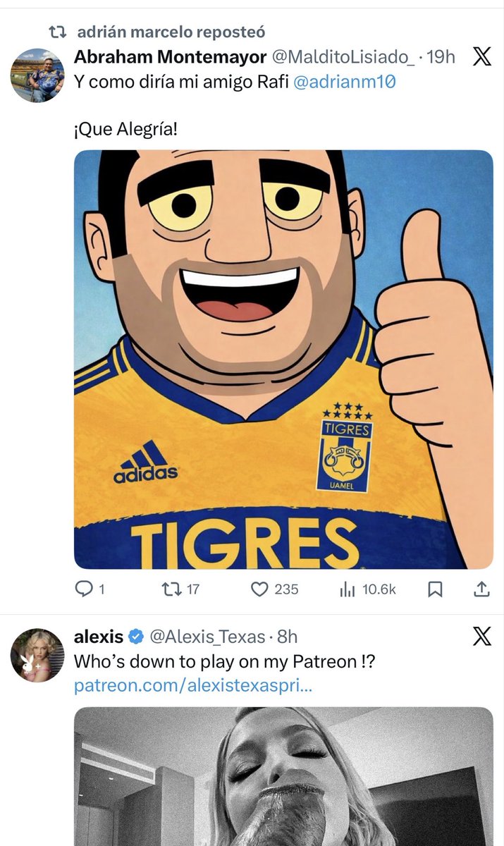 IVAN LA MOLE tweet media