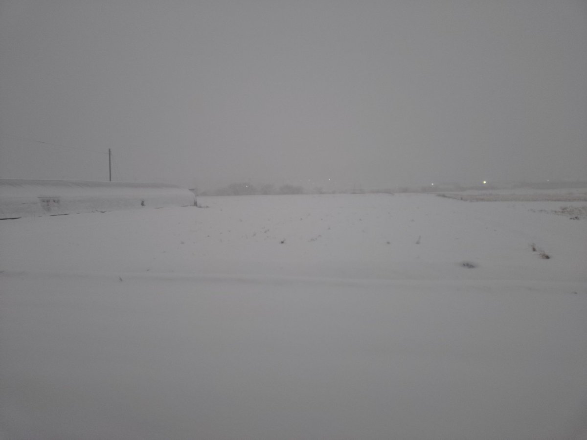 RyokRyokcha's tweet photo. 雪で田んぼも真っ白！
20cm以上積もっています。
正月も降ったけどその時より量が多いよ。 https://t.co/bkWONE3YlP