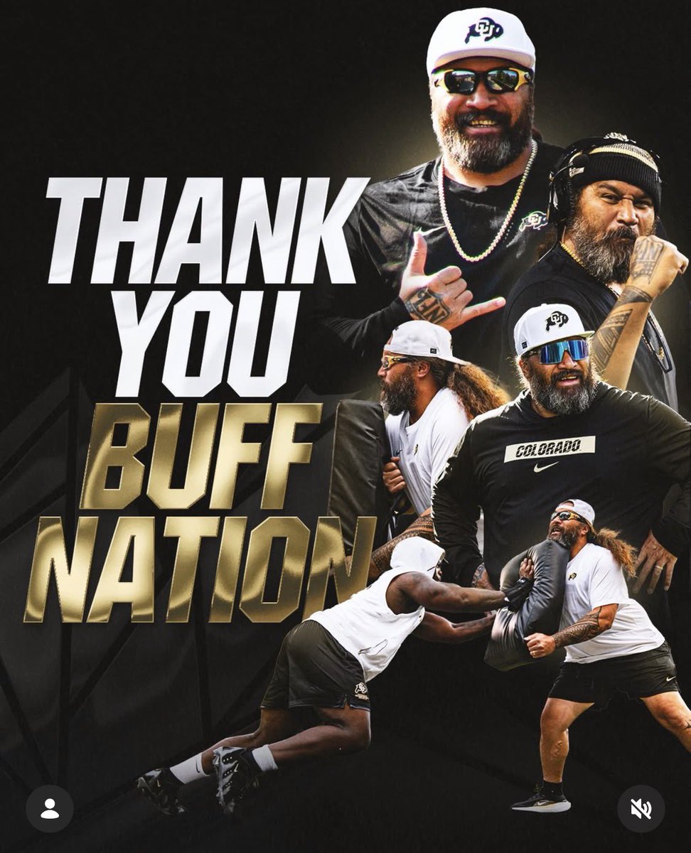 domatapeko tweet media