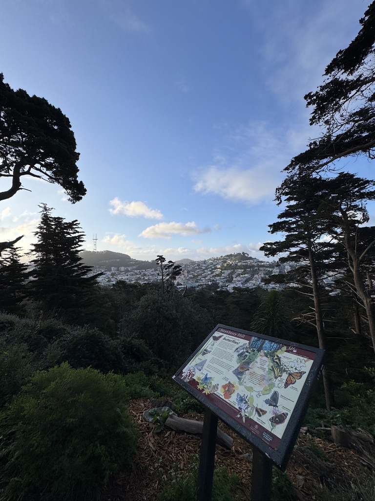 zachpogrob's tweet photo. SF is by far the most beautiful city in US

No other city is really even close https://t.co/AACXXB9Ihe