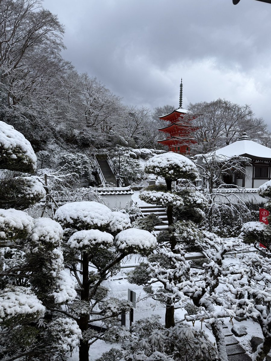 西国第七番 岡寺 tweet media