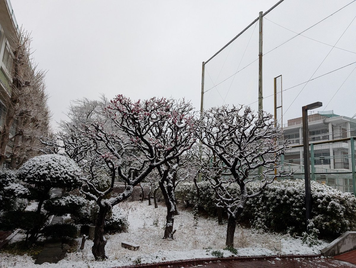 武相中学・高等学校【公式】 tweet media