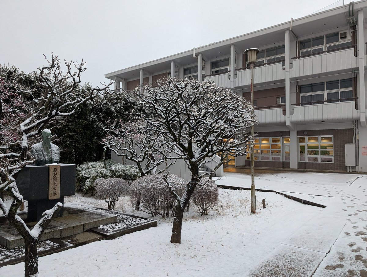 武相中学・高等学校【公式】 tweet media