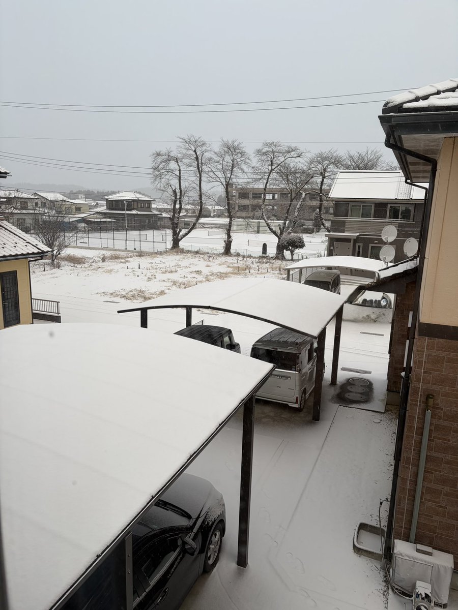 積もってるやんけ🙄
ジム行くのやめようかな😩