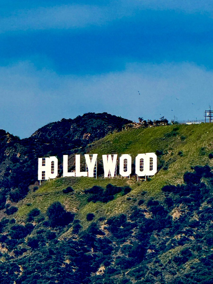 Los Angeles, in one iconic frame ✨ #HollywoodSign