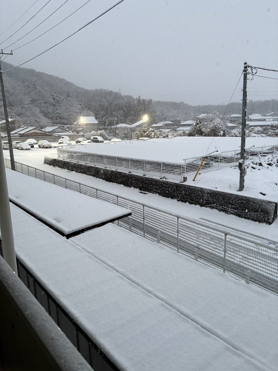 二重奏 tweet media