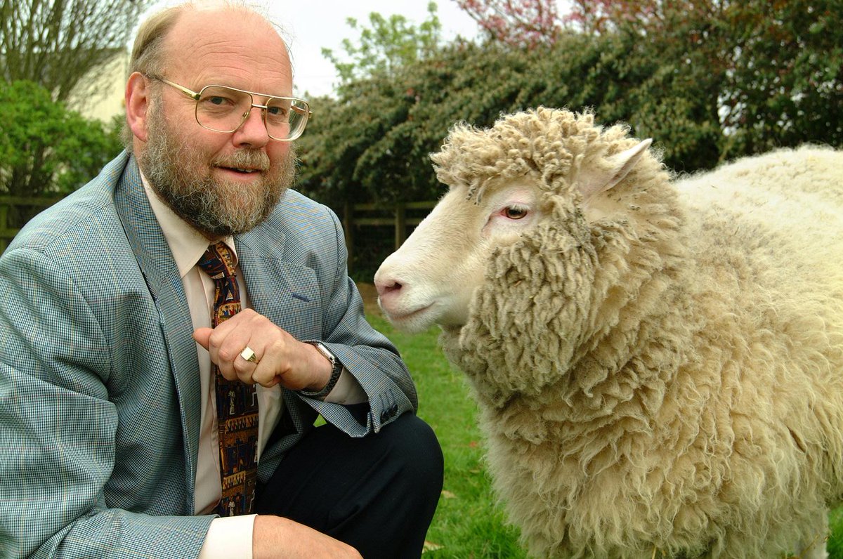 URDailyHistory's tweet image. 14 Feb 2003: Dolly the Sheep, the first #mammal to be cloned, dies from a progressive #lung disease at the age of 6. She was #cloned by the Roslin Institute in Scotland. #History #science #RIP #OTD #ad amzn.to/33lgfTa