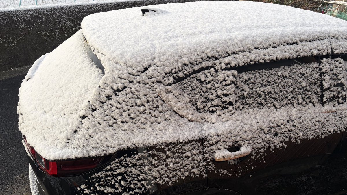 おはよーございますり
予想通り昨日の洗車は無駄になったね。笑
#cx5
#withmazda