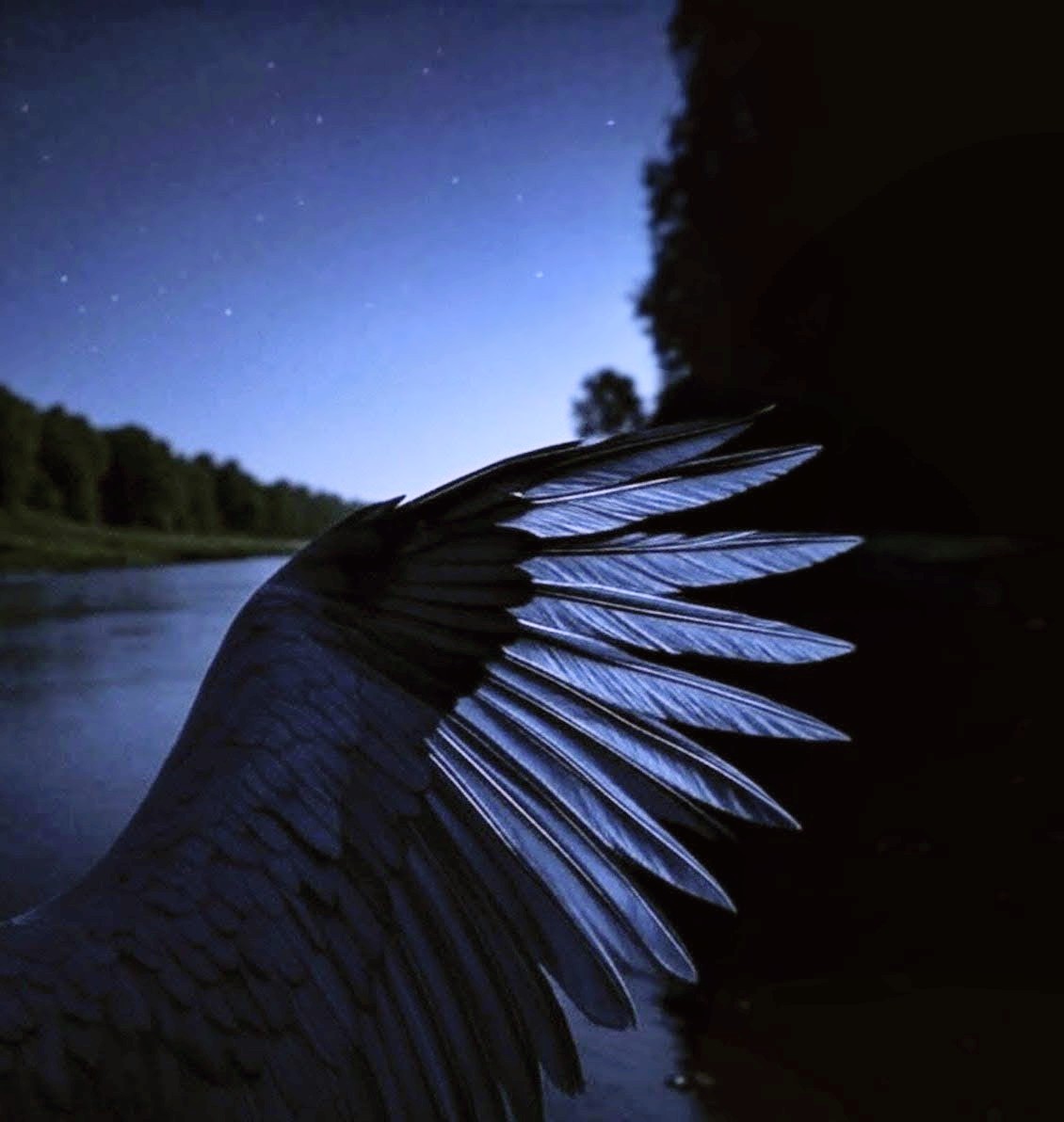 „Liebe muss 
glauben, 
ahnen, 
tasten, 
irren, 

sie darf bloß nicht wissen, 
sonst fällt sie in sich zusammen.“

Roger Willemsen